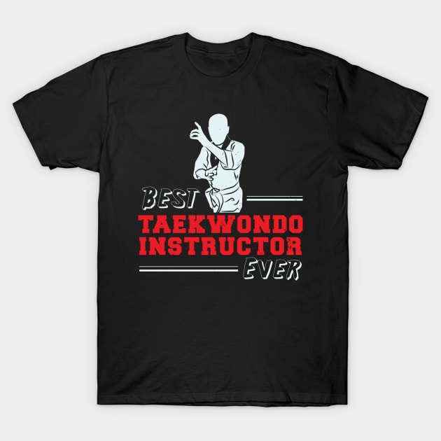 Taekwondo Instructor T-Shirt by TheBestHumorApparel